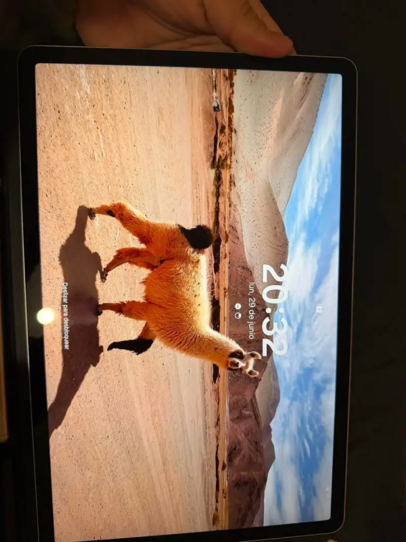 Samsung Tab S7 SE + Teclado,Lapiz, Carcaza y cable - 4