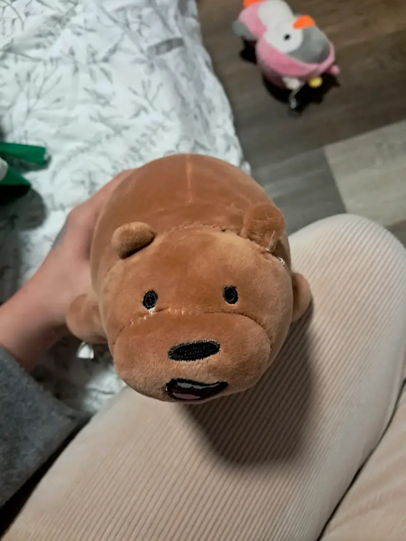 Peluche oso marrón suave y tierno - 1