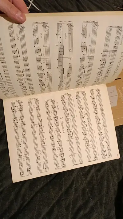 Melodías Populares para Acordeón a Piano - miniatura 4