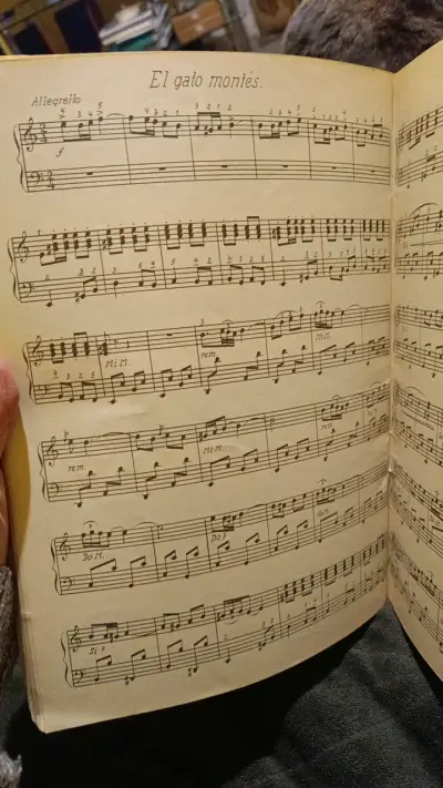 Melodías Populares para Acordeón a Piano - miniatura 5