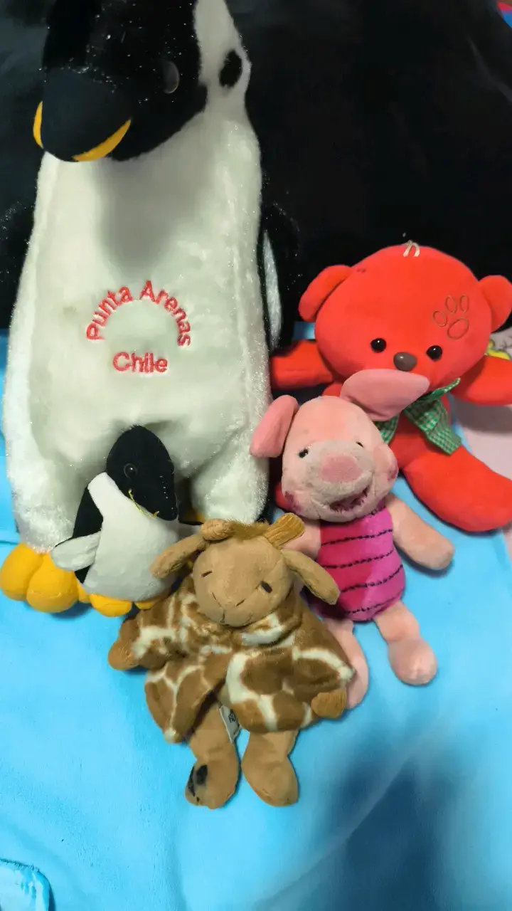 Set de peluches variados Punta Arenas