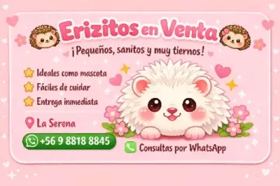 Venta de eribebes - miniatura 3