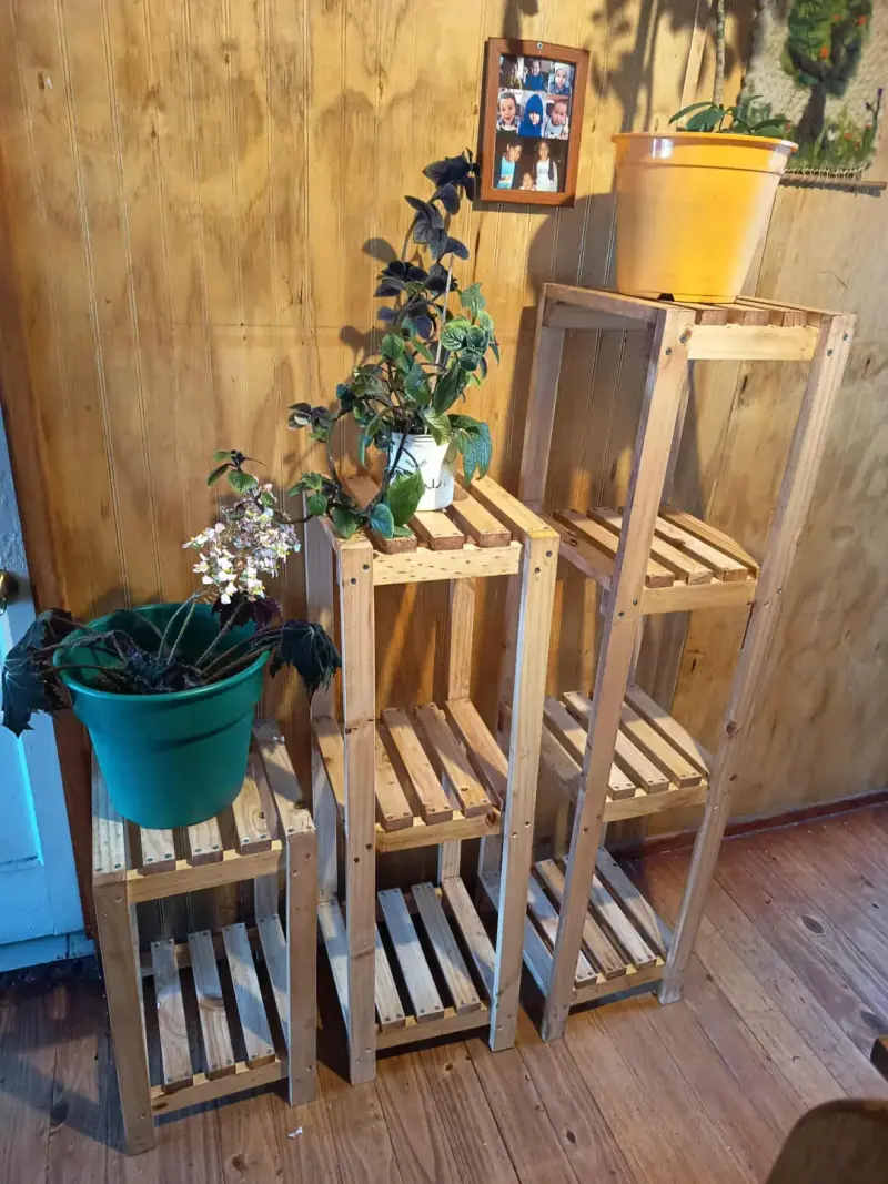 Estantería de madera para plantas - 1