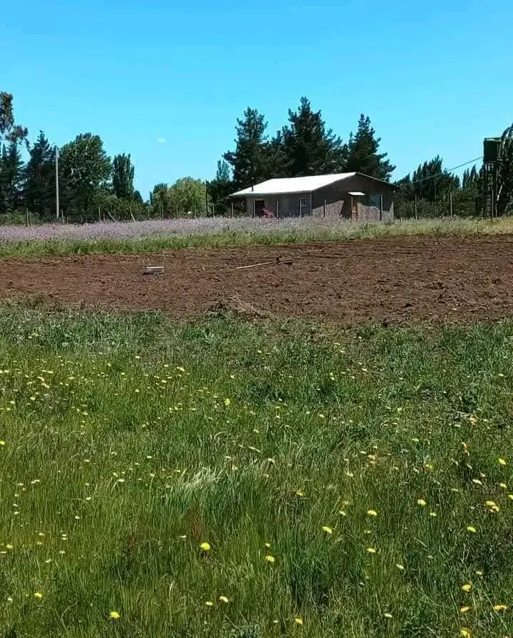 Terreno con casa en venta 5000 metro - 1
