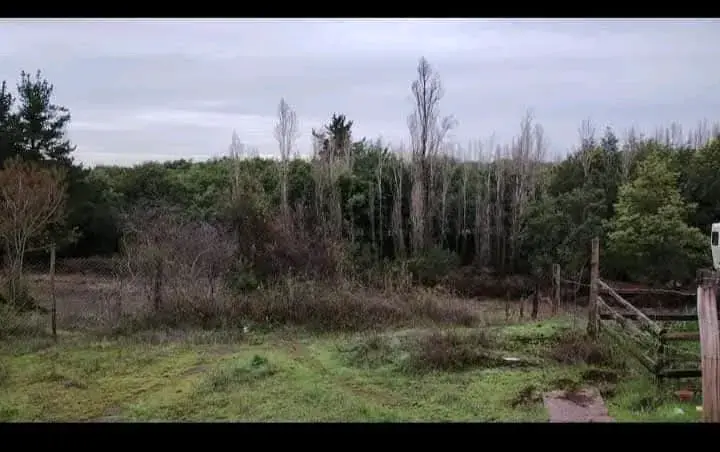 Terreno con casa en venta 5000 metro - 2