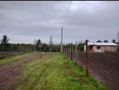 Terreno con casa en venta 5000 metro - miniatura 3