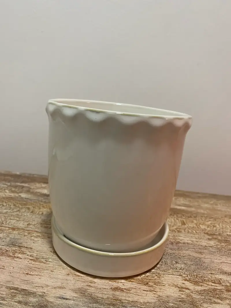 Macetero de cerámica blanco con plato