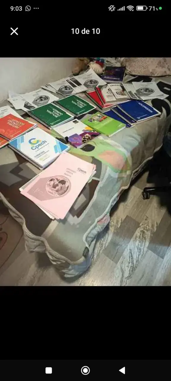 Lote de libros, guias y ensayos para la PAES - 1