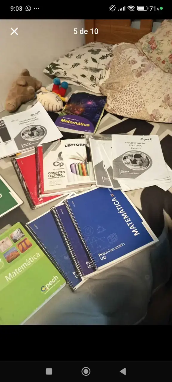 Lote de libros, guias y ensayos para la PAES - 6