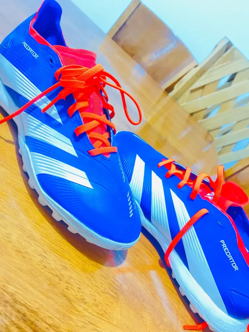 Zapatillas deportivas Adidas Predator azules