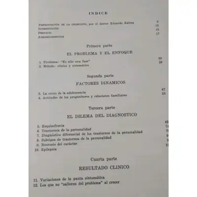 El Dilema Psiquiátrico del Adolescente - J.F. Masterson - miniatura 2