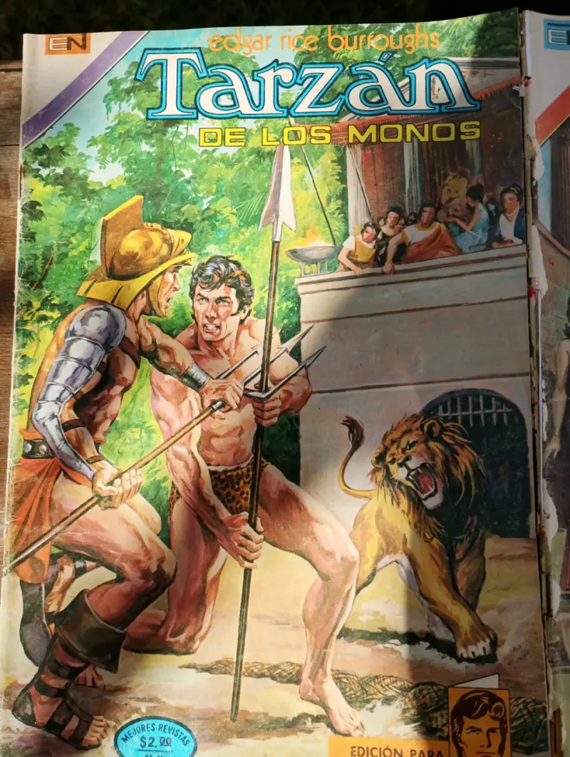 Colección de cómics Tarzán vintage - 6