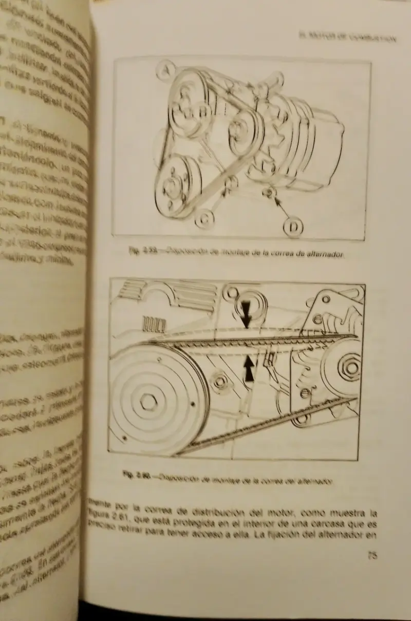 Manual de mantenimiento Ford Escort - 5