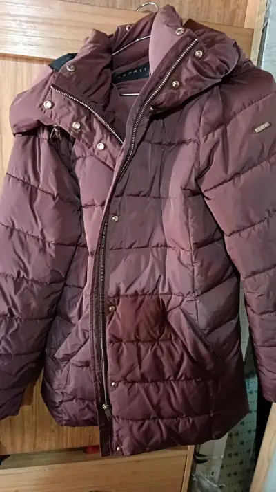 Chaqueta acolchada marrón Esprit para invierno - miniatura 1