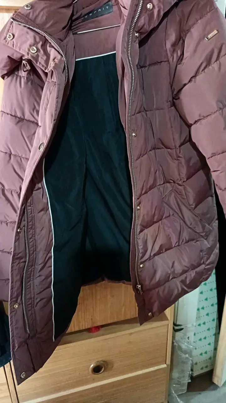 Chaqueta acolchada marrón Esprit para invierno - 5