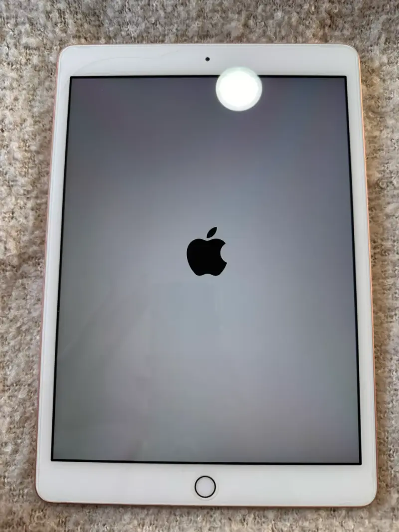 Ipad 7a Generación WIFI-32GB Rosa Gold - 4