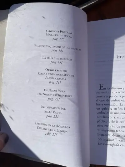 Maria Luisa Bombal ‘La Ultima Niebla y Otros’ - miniatura 3