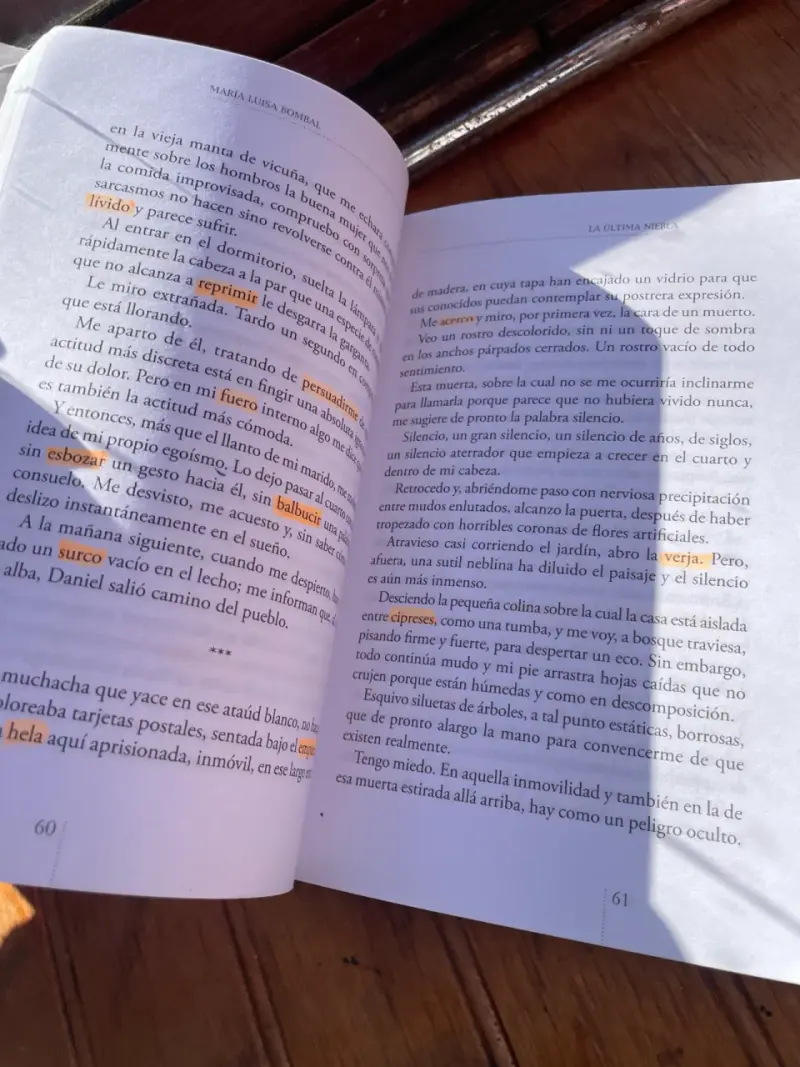 Maria Luisa Bombal ‘La Ultima Niebla y Otros’ - 4