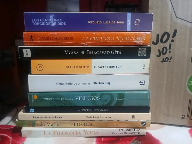 Lote de libros variados de autores reconocidos - 2