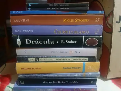 Lote de libros variados de autores reconocidos - miniatura 3