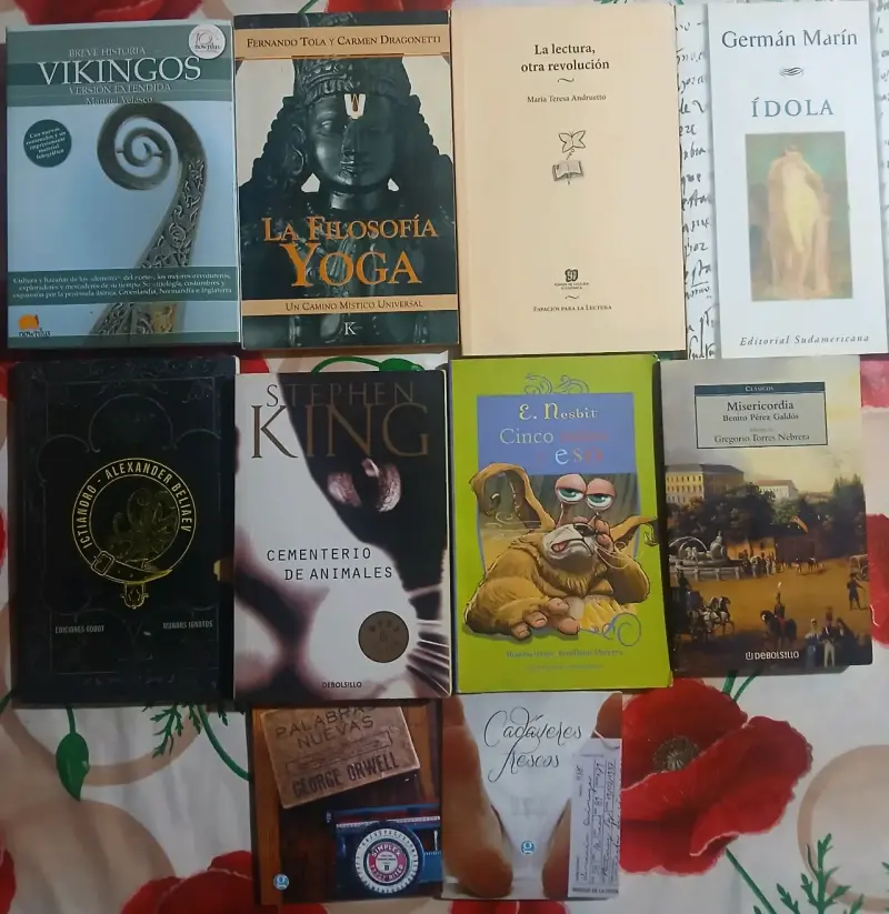 Lote de libros variados de autores reconocidos - 6