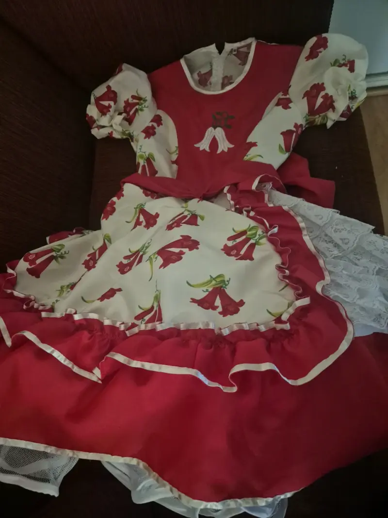 Vestido de huasa - 1