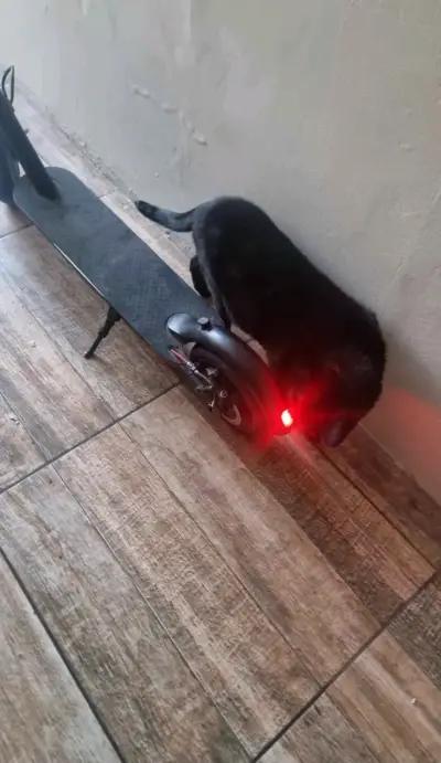 Scooter eléctrico EasyGo con luz LED - miniatura 2