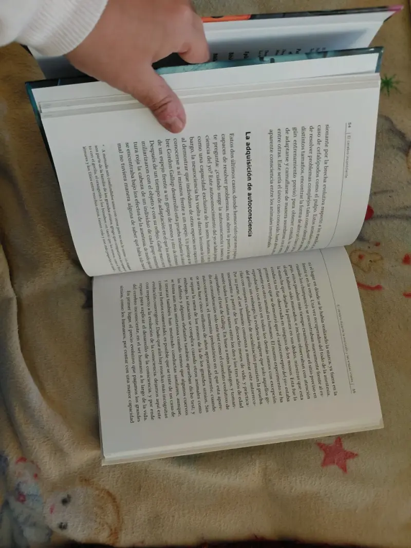 Set de libros sobre cerebro y música - 2