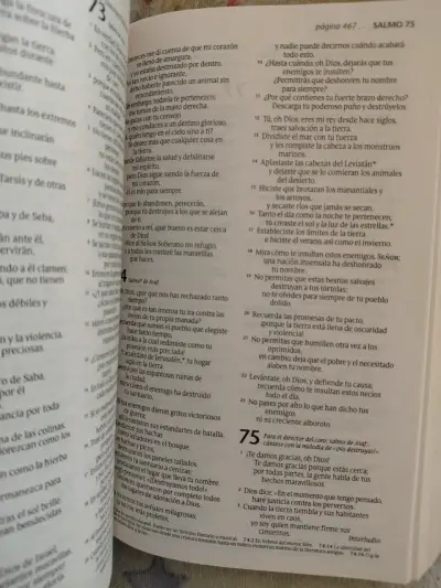 Santa Biblia NTV para compartir - miniatura 4