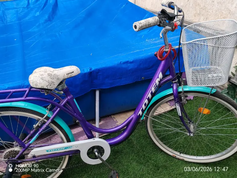 Bicicleta Totem morada con canasto - 2
