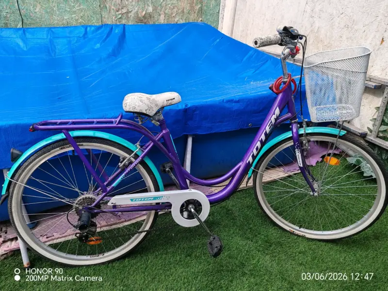 Bicicleta Totem morada con canasto - 4