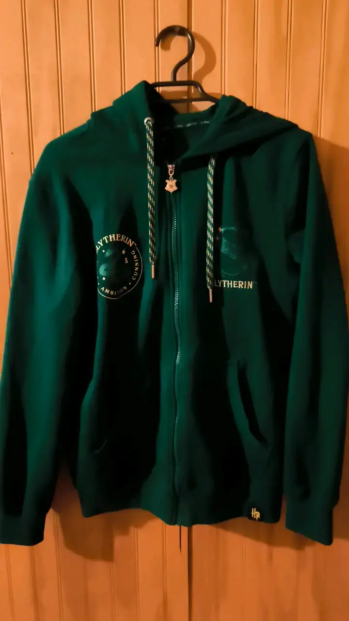 Polerón verde Slytherin con capucha