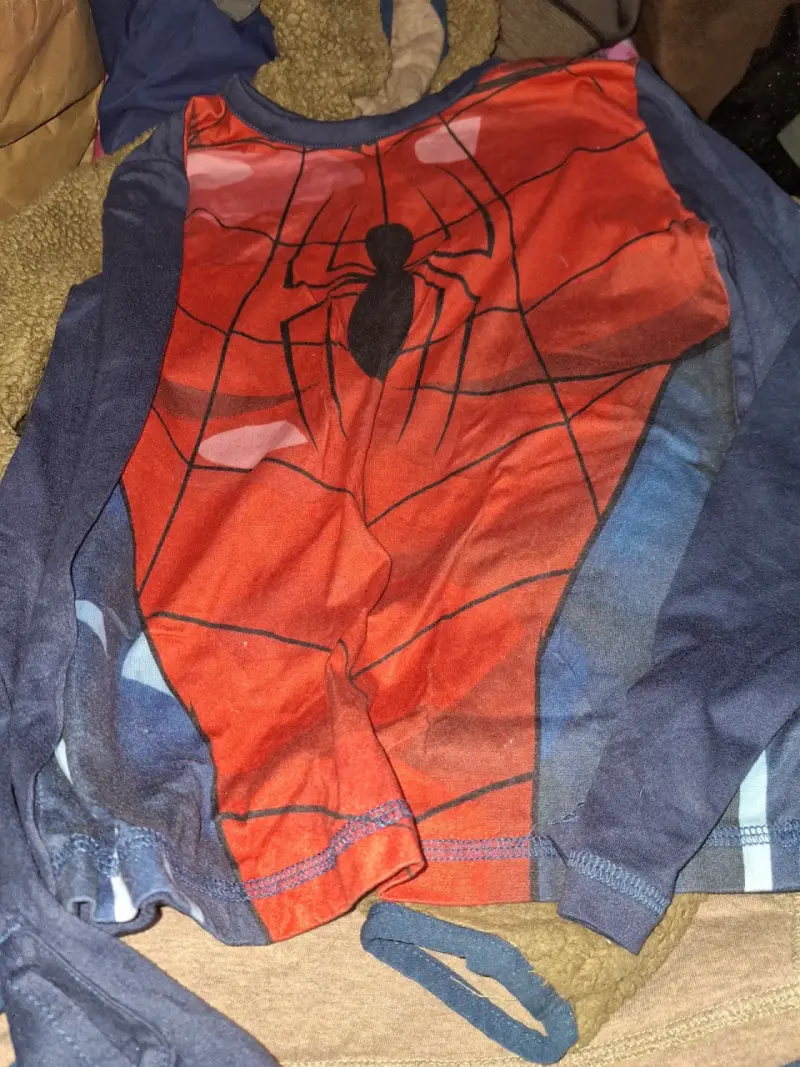 Polera de niño Spiderman manga larga