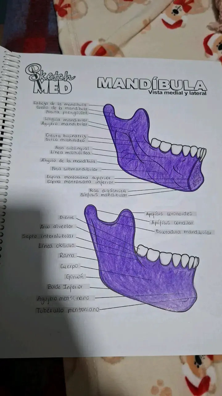 Libro Ilustraciones Médicas Edición 2019 - 2