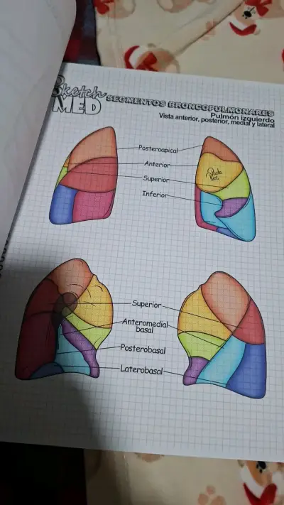 Libro Ilustraciones Médicas Edición 2019 - miniatura 3