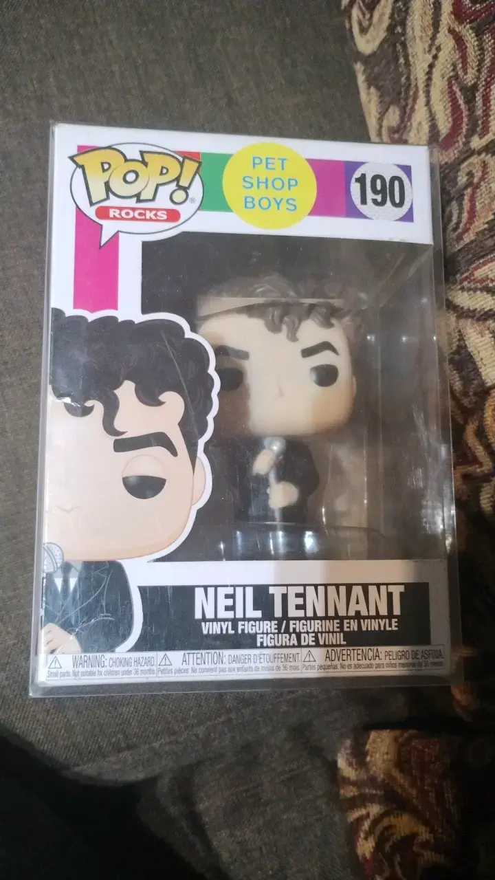 Figura Funko Pop Neil Tennant Pet Shop Boys - 1