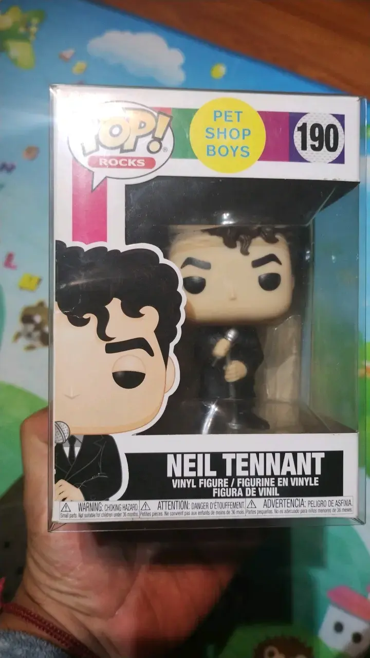Figura Funko Pop Neil Tennant Pet Shop Boys - 2