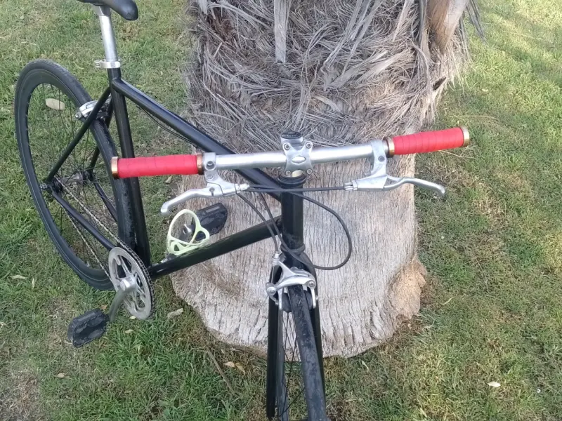 Bicicleta Fixie talla 54 piñón libre/fijo - 3