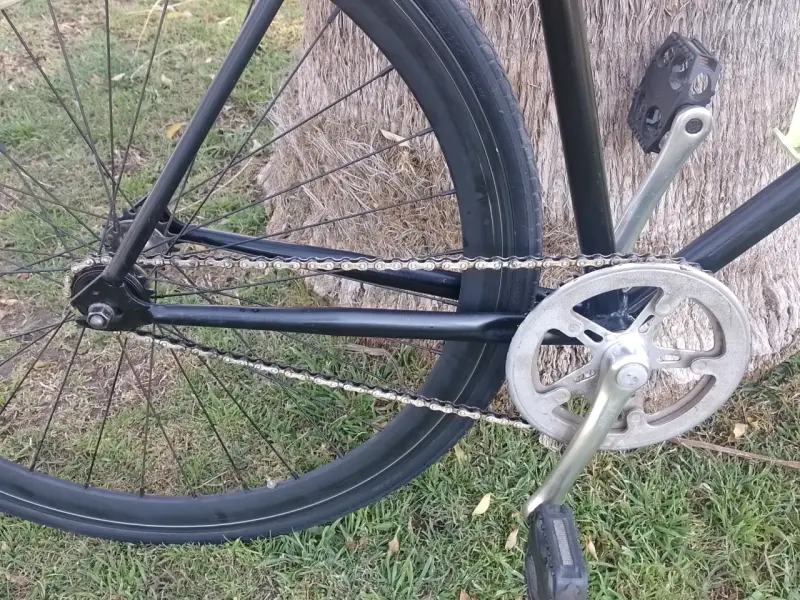 Bicicleta Fixie talla 54 piñón libre/fijo - 4