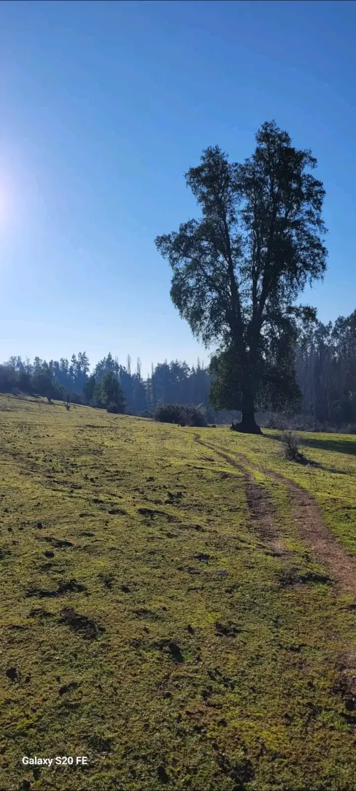 Parcela de 15 hectáreas - 1