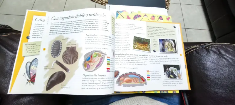 Libro 'Los Invertebrados' tapa dura como nuevo - 2