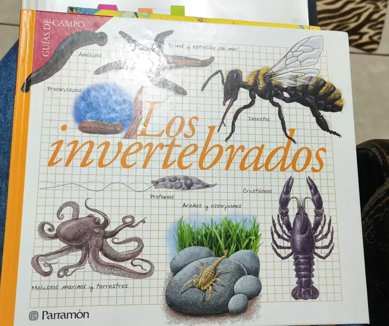Libro 'Los Invertebrados' tapa dura como nuevo - 3