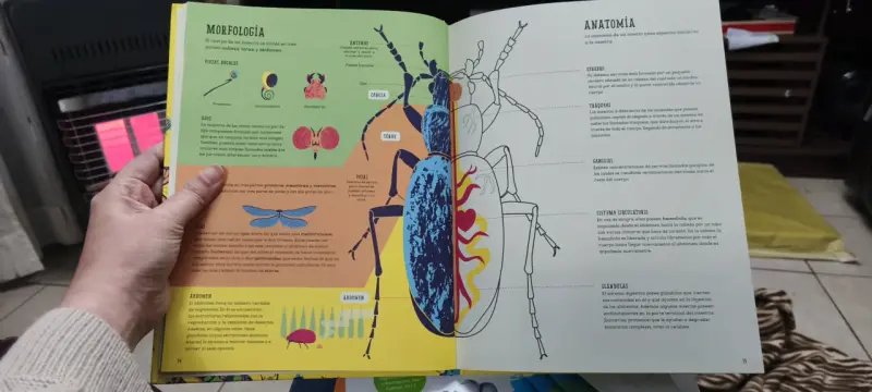 Libro Insectopedia tapa dura como nuevo - 3
