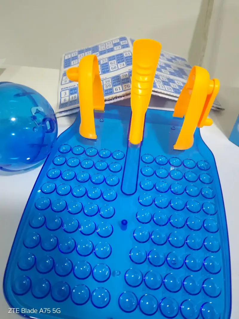 Juego de Bingo Playset - 2