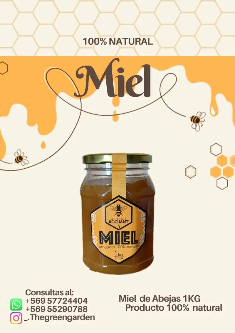 Miel de abeja 100% natural 1kg