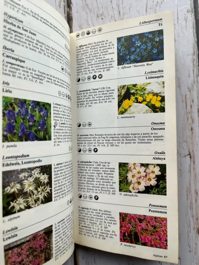Guía de las Plantas de Jardín - Johnson y Miles - 6