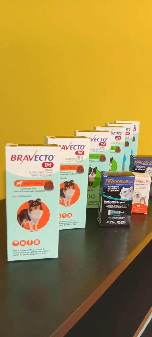 Bravecto 1M para perros pequeños medianos y grande - 1