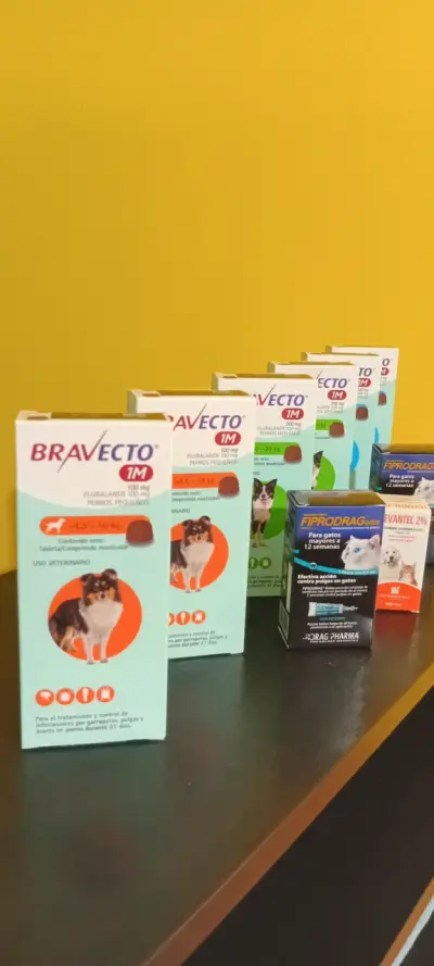 Bravecto 1M para perros pequeños medianos y grande - miniatura 1