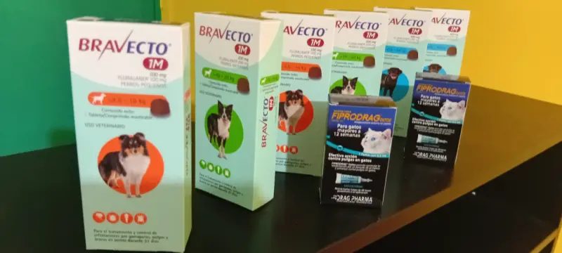 Bravecto 1M para perros pequeños medianos y grande - 2