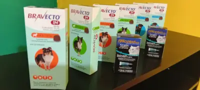 Bravecto 1M para perros pequeños medianos y grande - miniatura 2